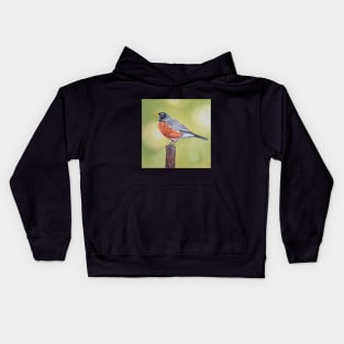 American Robin 2 - bird painting Kids Hoodie